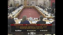 Systemic Discrimination - Standing Senate Committee on Human Rights Meeting - March 3 2014
