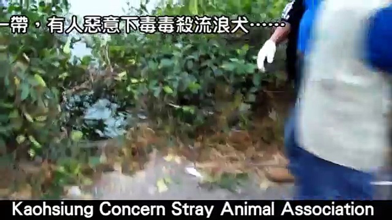 萬壽山毒狗屠夫事件