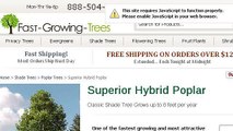How-To Prune Hybrid Poplar Trees