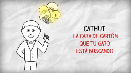 Caja de Cartón para Gatos | La Caja de Cartón que tu gato está buscando