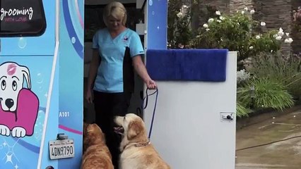 San Diego Mobile Pet Grooming
