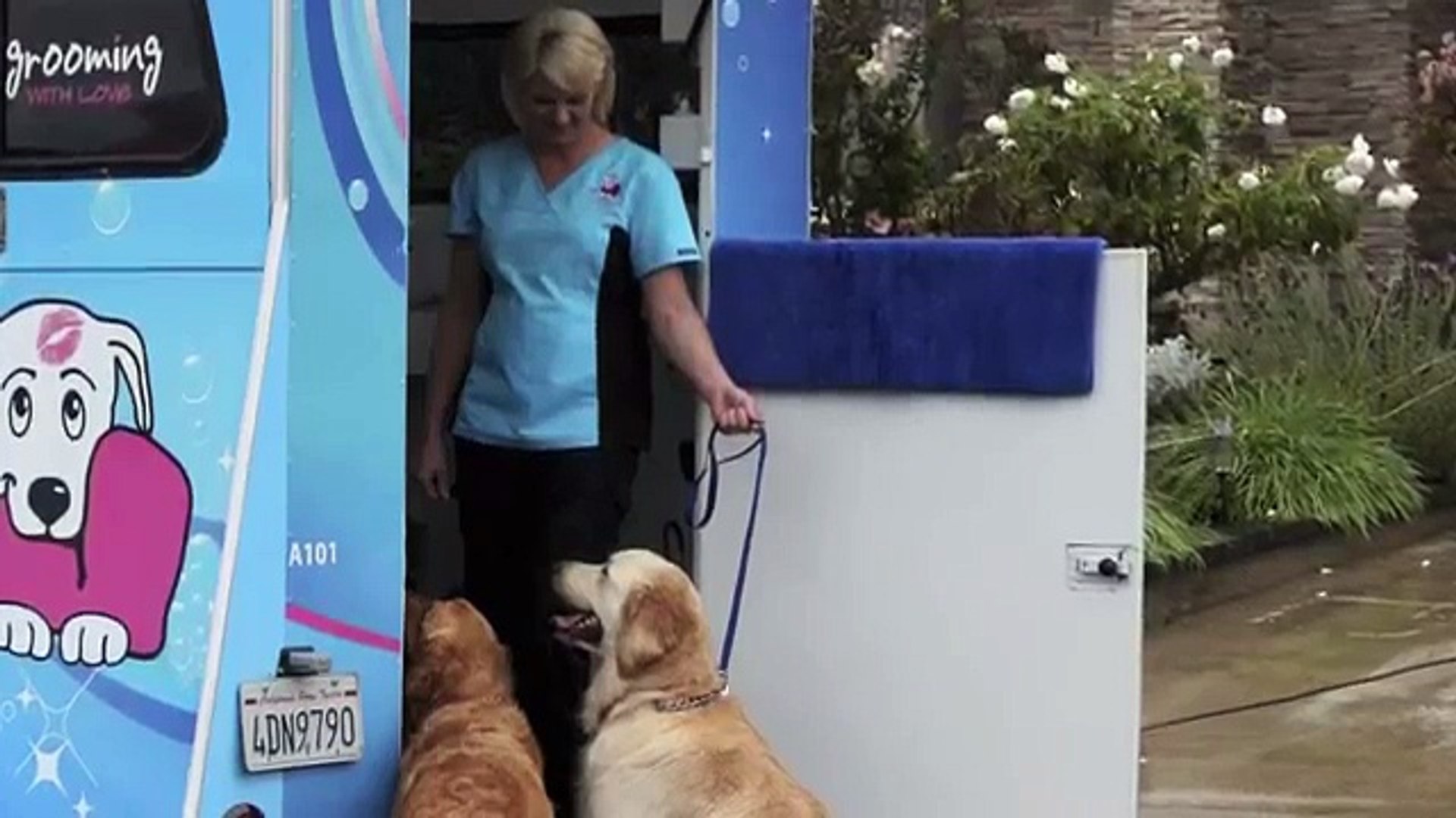 ⁣San Diego Mobile Pet Grooming