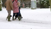 Suko in de sneeuw met de honden uit Geindrie - lichter gemaakt