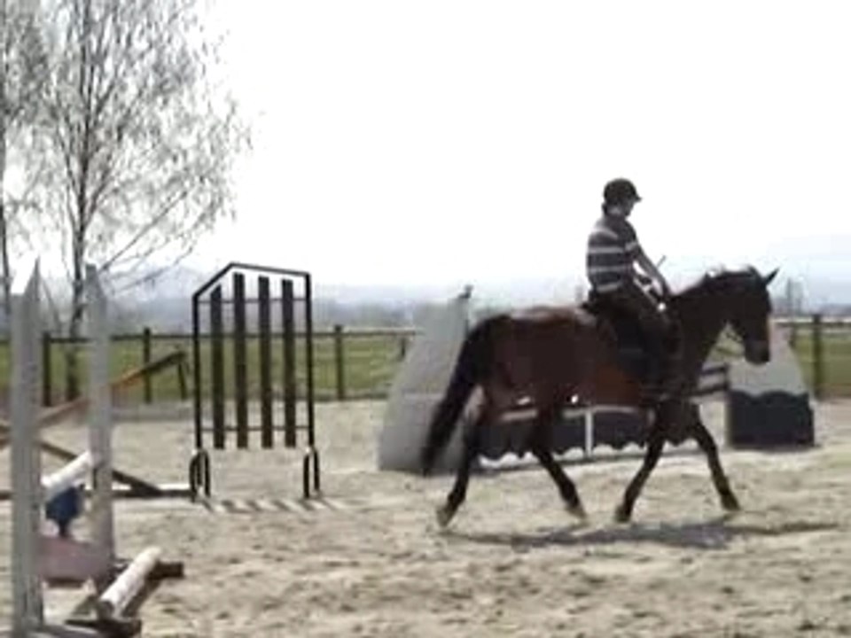 galathée - trot