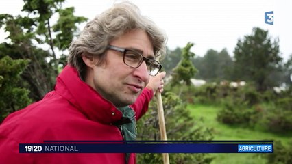 Cowboy ou vacher : un métier qui continue de séduire