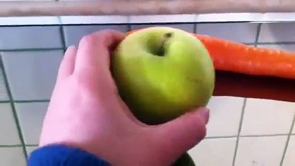 pastoncino fai da te per canarini