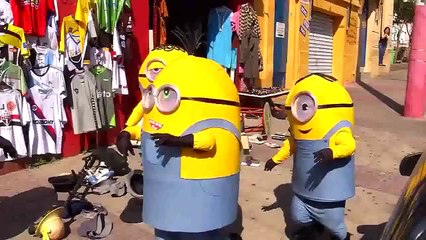 los minions marihuanos y bromistas bromas pesadas