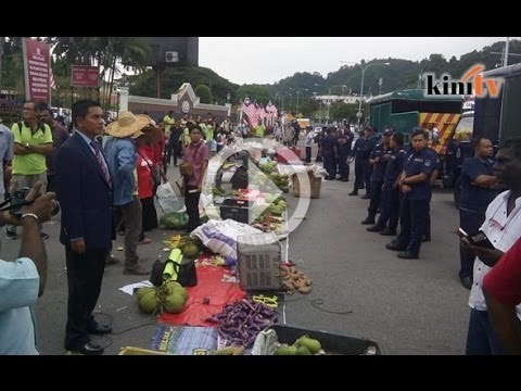 Kecoh! Anggota MBI rampas sayur, buah peladang