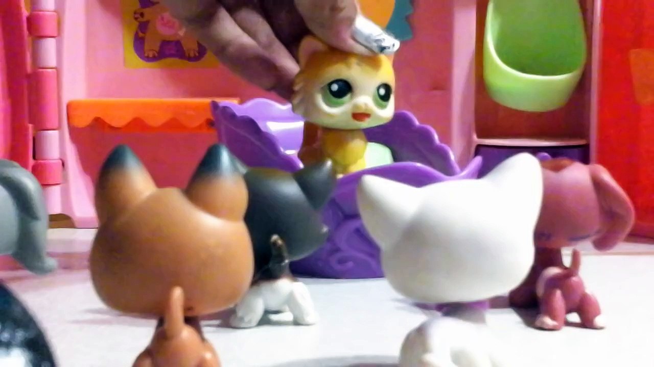 LPS Songs in real life