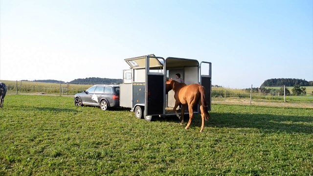 Elisabeth Musil Parelli Spotlight