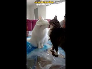 İlişkilerin Başı ve Sonu