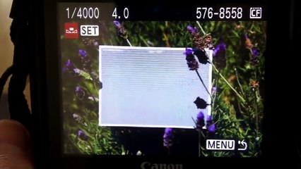 Set Your Camera White Balance with a Gray Card