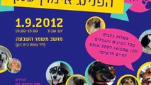 הפנינג ענק לאימוץ כלבים - 1.9.2012