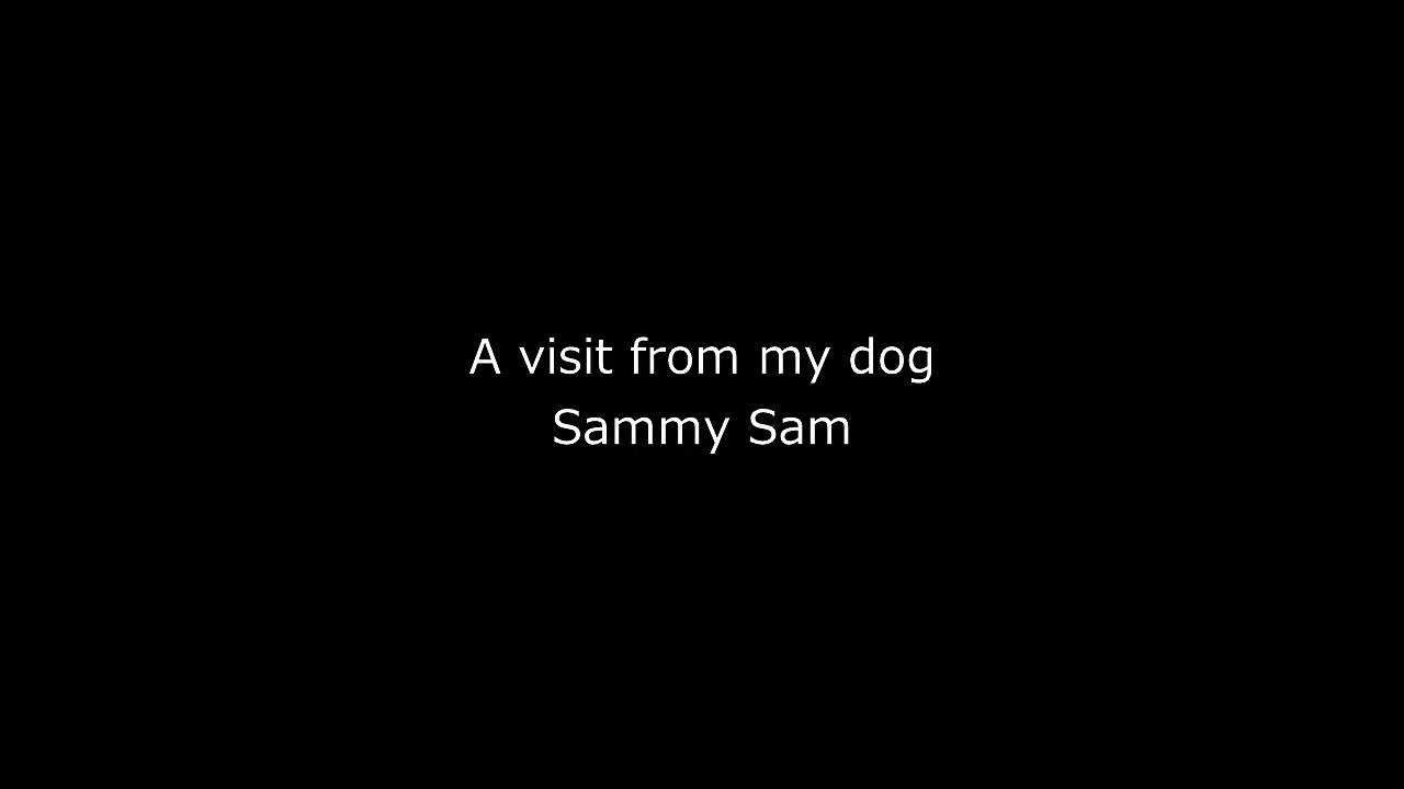 Proof Our Pets Still Visit Long After They've Croosed Over