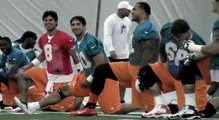 Miami Dolphins warm up to 'Call me maybe'