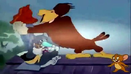 Tom And Jerry Cartoon Best ∰ DVD 2 ∰