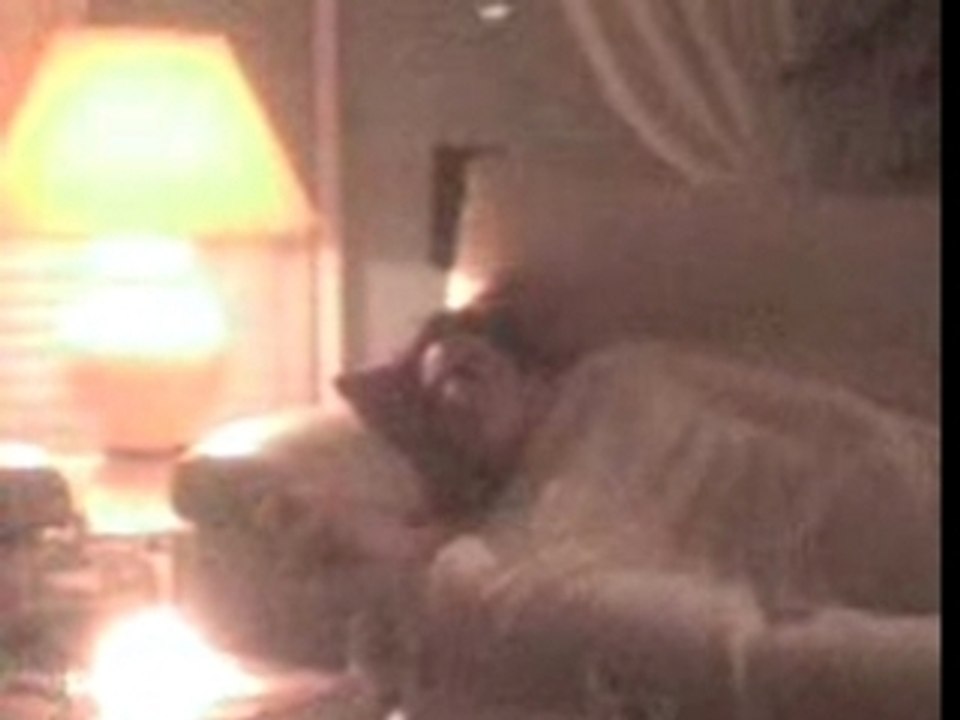 MOV00012