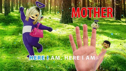 TELETUBIES FINGER FAMILY | MY NURSERY CARTOON