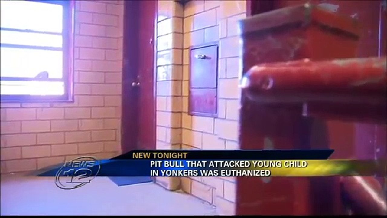 pit bull attack, severed his genital