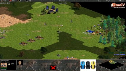 Gunny, Tom vs Meo meo, Yugi ngày 11 082014 C6T1