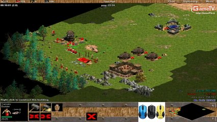 Gunny, Tom vs Meo meo, Yugi ngày 11 082014 C7T5