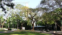 Manila Old and New - Tour of Intramuros, Rizal Park, American Cemetery and Memorial + Makati CBD