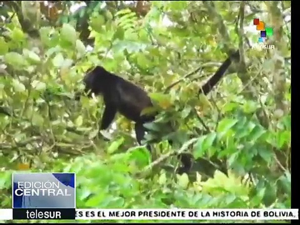 Costa Rica: minera no pagará daños ambientales de su actividad