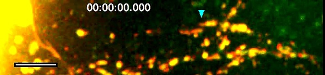 Reach Out and Touch Someone