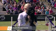 Small Dog Agility Winner - 2014 Purina® Pro Plan® Incredible Dog Challenge Eastern Regionals