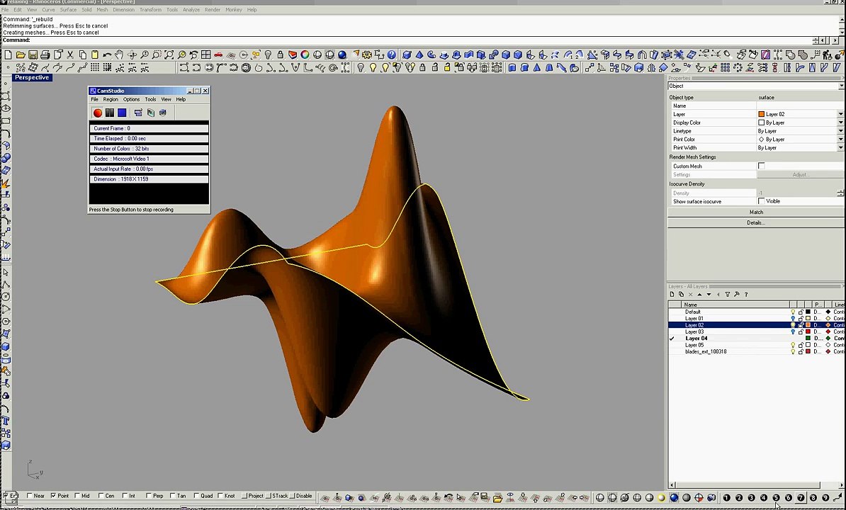 Parametric Architecture / Nurbs Relaxation