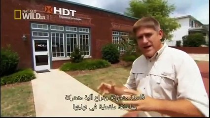 Discovery Channel Animals | Animal Planet | King Cobra Documentary #2015 HD