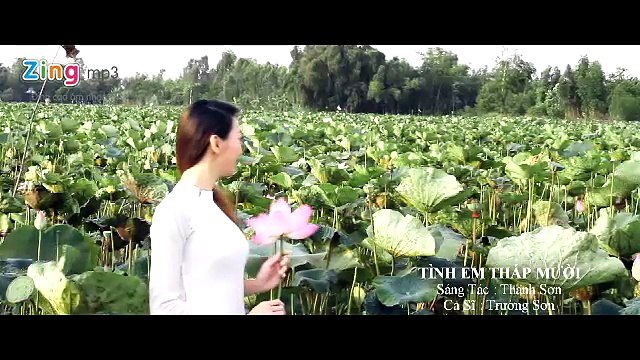 Tình Em Tháp Mười - Trường Sơn