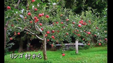 リンゴ村から・・三橋美智也