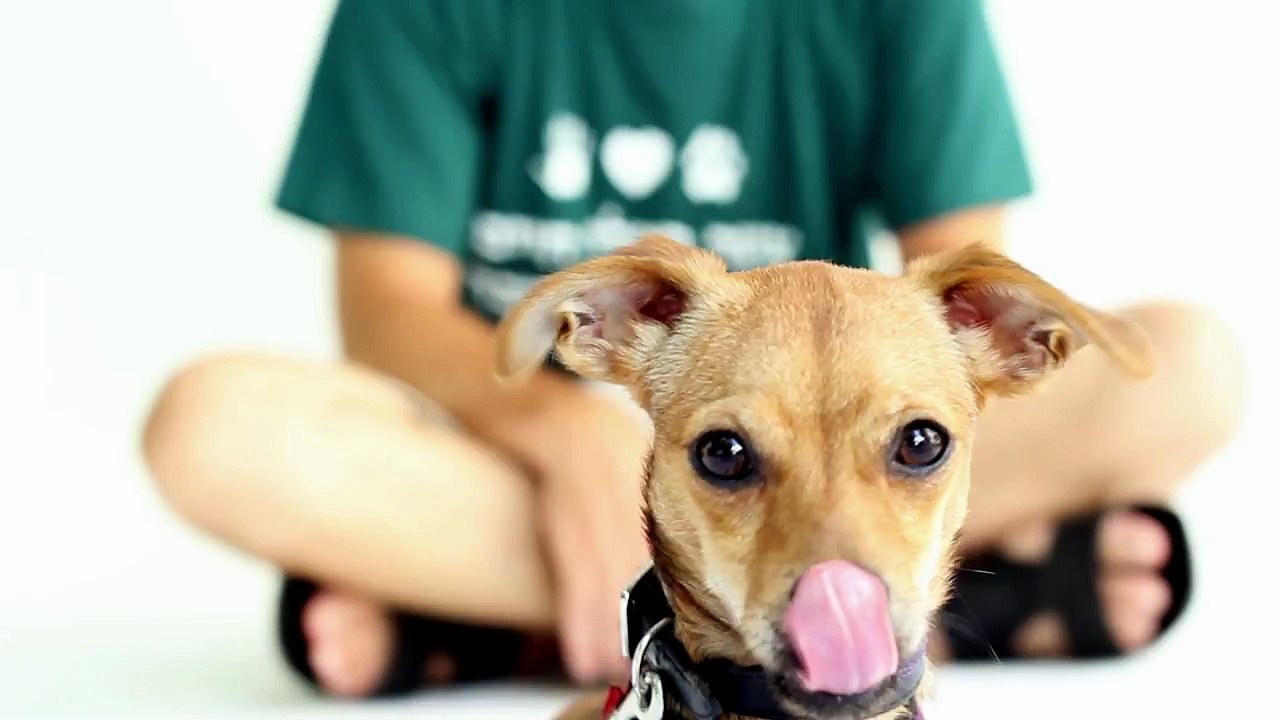 יוסי מרשק - עם אהבה לא קונים במכולת