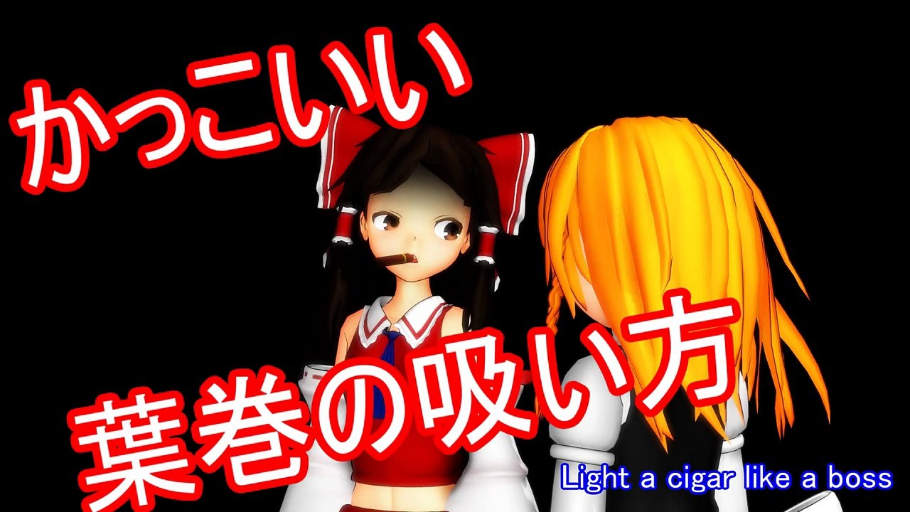 Touhou MMD - Cigar like a boss