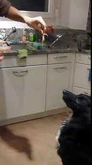 Daila is CRAZY about roasted eggplant