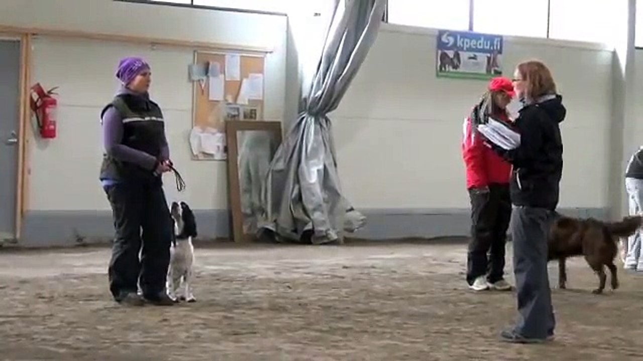 Wilma Toko 30092012