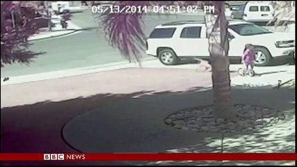 'Super Cat' saves boy from dog attack in California-copypasteads.com