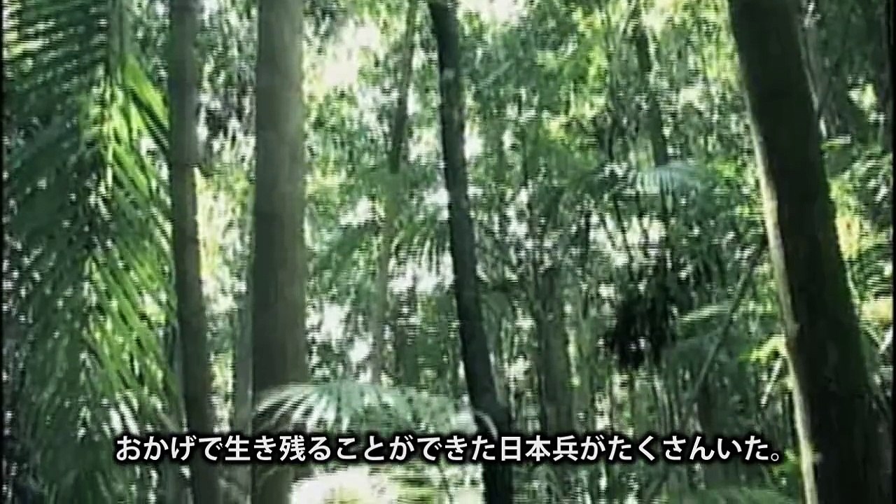 ニューギニアで日本人と共に戦った台湾・高砂義勇隊【大東亜戦争】
