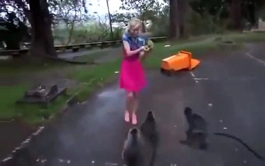 OMG !! Monkeys gone crazy on this Girl