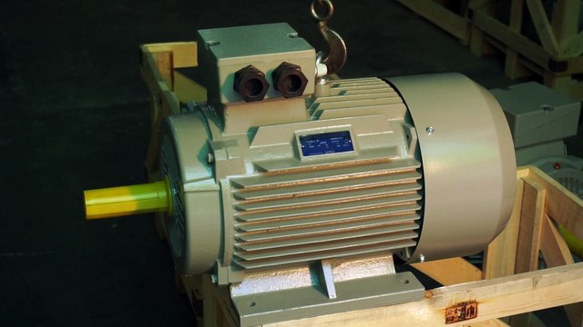 Động cơ điện 3 pha 380V/660V, 20 ngựa, 15 kW ~ 20HP, điện cơ Sài Gòn, mô tơ điện Hà Nội - thiết bị công nghiệp MINHMOTOR