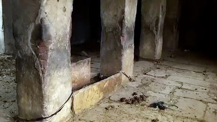A case of Ghost caught at Haunted cow stable