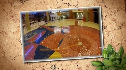 Professional Polishing Group