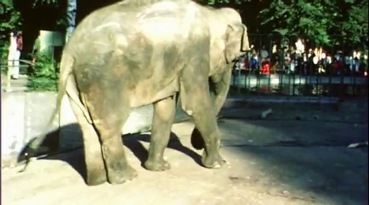 Gotan Project - Epoca (Arje Remix) Tango Clipmix