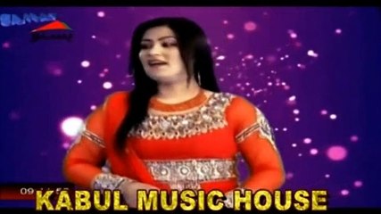 Brishna Amil - Janana Starge Ka Raporta