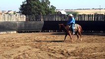 2 yr old cutting gelding by Sweet Lil Pepto - not edited