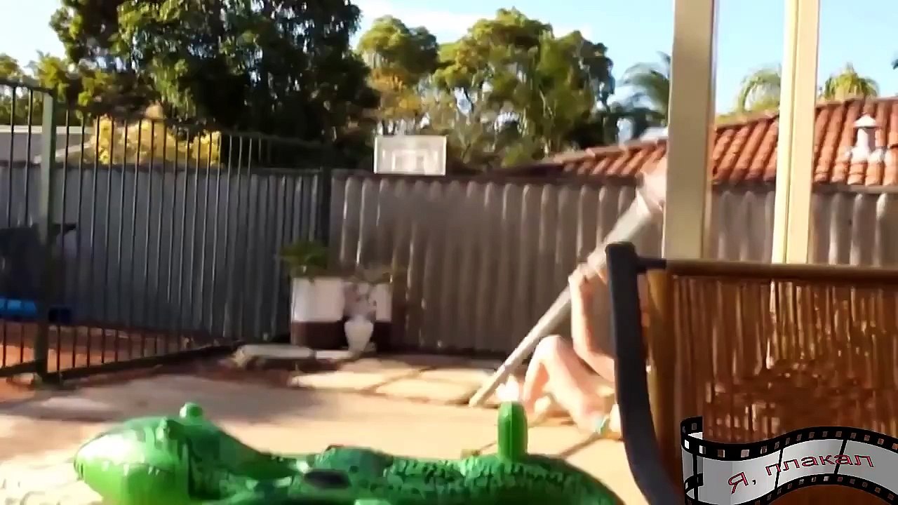 Funny videos Funny pranks Funny girls Funny animals Fail compilation 2015