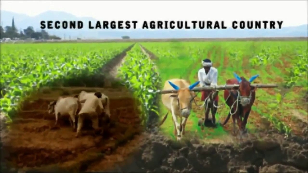 INDIA - UNITY IN DIVERSITY