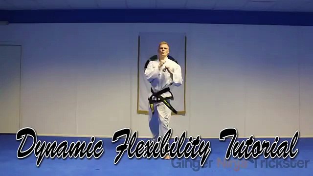 Dynamic flexibility tutorial (high kicks)