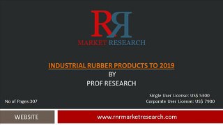 Industrial Rubber Products to 2019